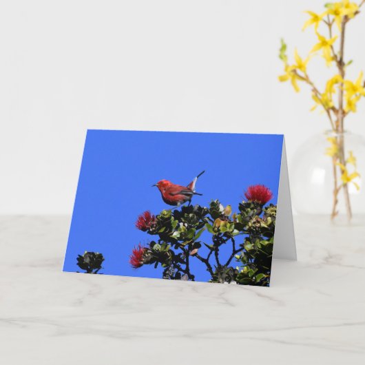 'Apapane kleine rode vogel Kaart (Gele Bloem)