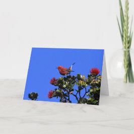 'Apapane kleine rode vogel Kaart