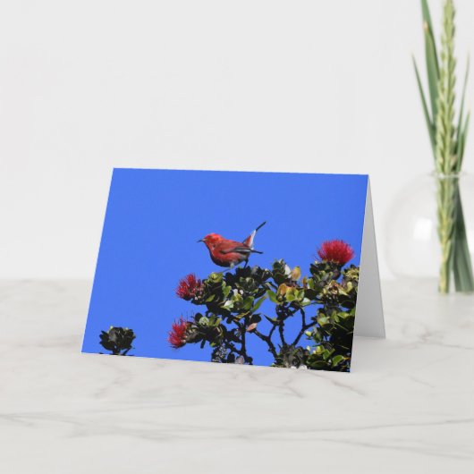 'Apapane kleine rode vogel Kaart (Voorkant)