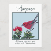 Apapane & Lehua Bloesem Hawaii Natuur Illustratie