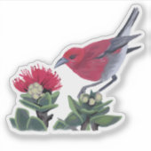 Apapane & Lehua Blossom Hawaii Nature Illustration Sticker (Voorkant)