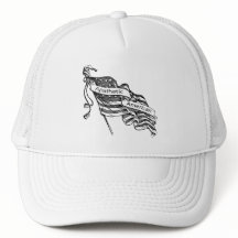 Apathetische Amerikaan