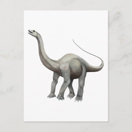Apatosaurus Briefkaart (Voorkant)