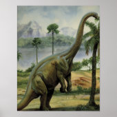 Apatosaurus (Brontosaurus) Eatafbeelding Poster (Voorkant)