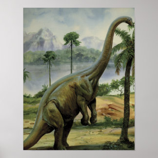 Apatosaurus (Brontosaurus) Eatafbeelding Poster