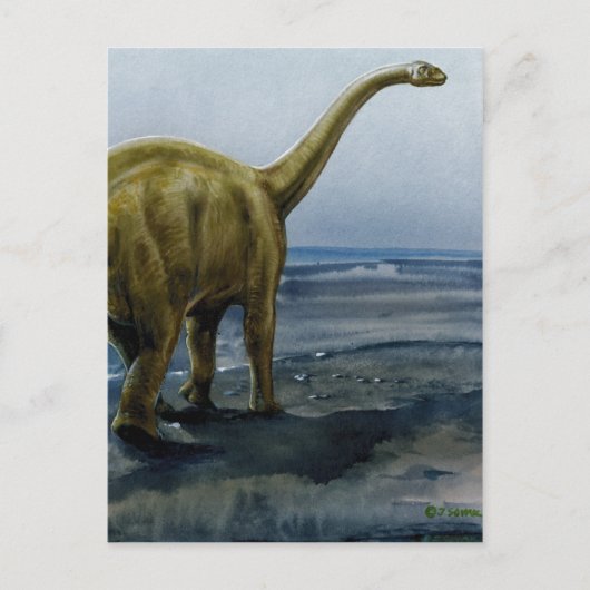 Apatosaurus (Brontosaurus) Illustratie Briefkaart (Voorkant)