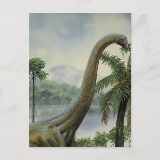 Apatosaurus (Brontosaurus) Voorbeeld Briefkaart (Voorkant)