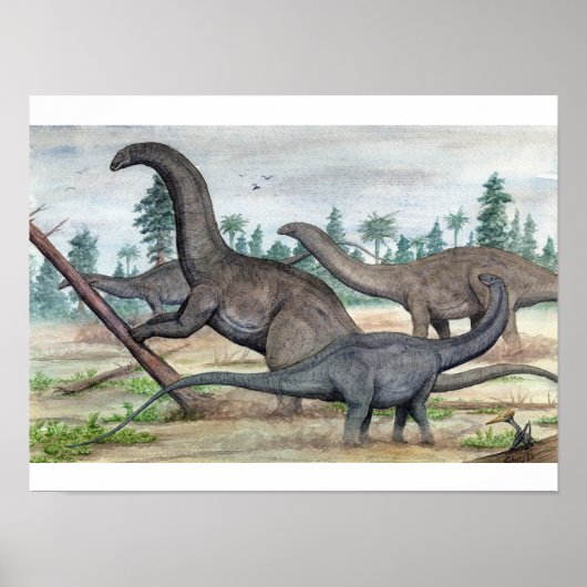 Apatosaurus en Brontosaurus Print (Voorkant)