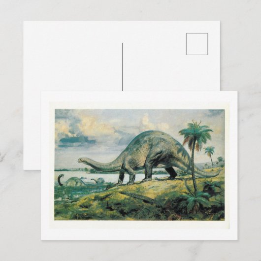 Apatosaurus Excelsus (Brontosaurus) Briefkaart (Voorkant / Achterkant)