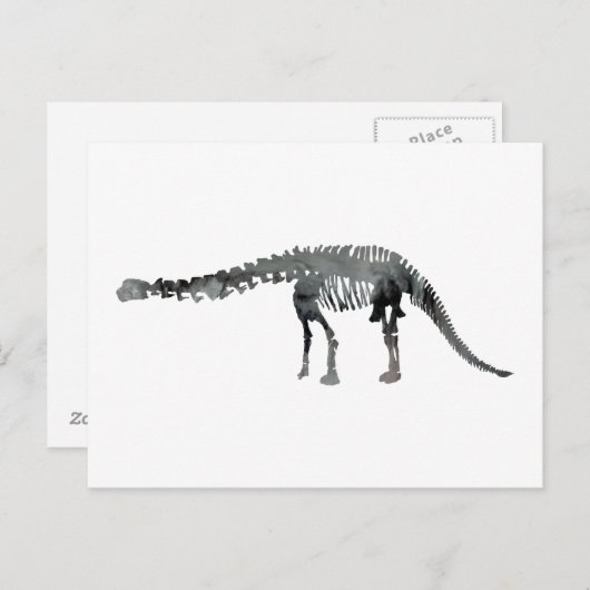 apatosaurus skelet briefkaart (Voorkant / Achterkant)
