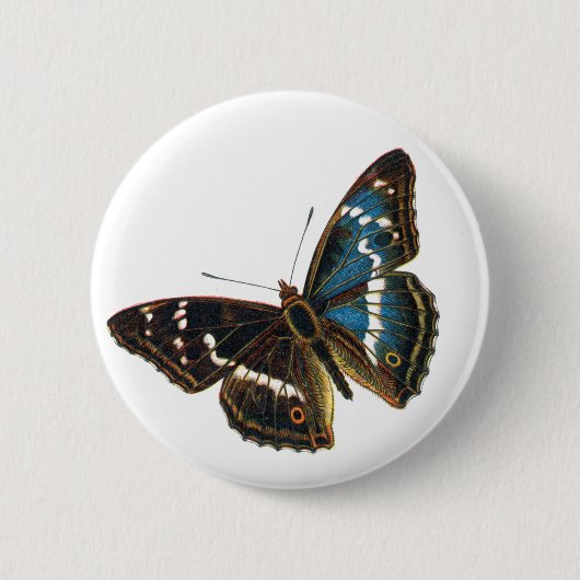 Apatura iris mannetje ronde button 5,7 cm (Voorkant)