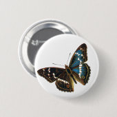 Apatura iris mannetje ronde button 5,7 cm (Voorkant /achterkant)