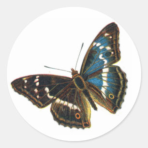 Apatura iris mannetje ronde sticker