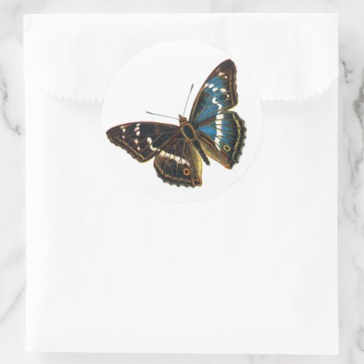 Apatura iris mannetje ronde sticker (Tas)