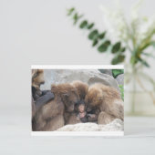 Ape Briefkaart (Staand voorkant)