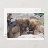 Ape Briefkaart (Voorkant / Achterkant)