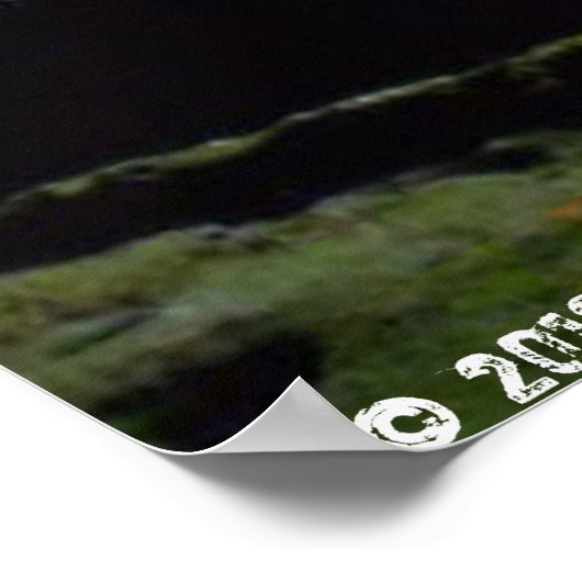 Ape Caves WA Poster (Hoek)