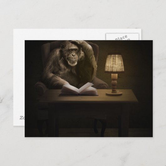 Ape Chimpanzee Monkey Briefkaart (Voorkant / Achterkant)