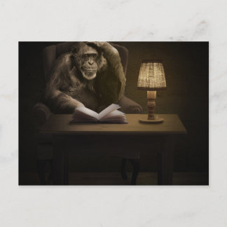 Ape Chimpanzee Monkey Briefkaart
