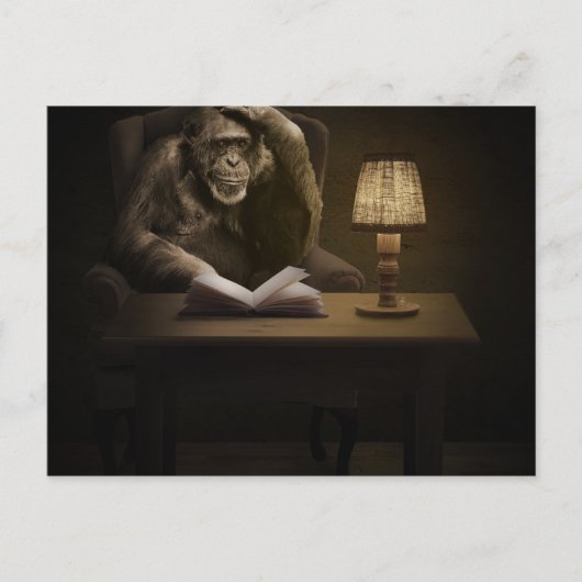 Ape Chimpanzee Monkey Briefkaart (Voorkant)