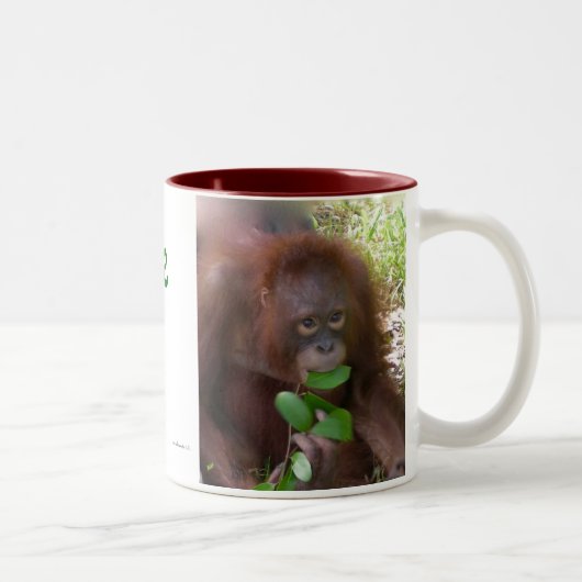 Ape for Green Tweekleurige Koffiemok (Rechts)