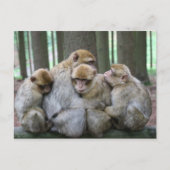 Ape Group Hug Briefkaart (Voorkant)