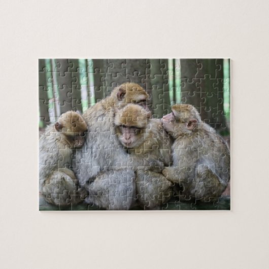 Ape Group Hug Legpuzzel (Horizontaal)