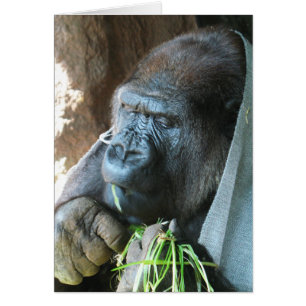 Ape hood ~ Japans Gorilla Eating Wenskaart
