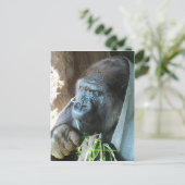 Ape hood ~ Japanse Gorilla Eating Briefkaart (Staand voorkant)