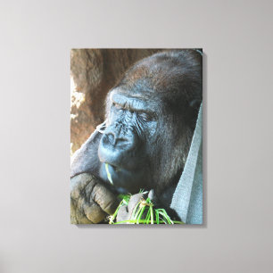 Ape hood ~ Japanse Gorilla Eating Canvas Afdruk