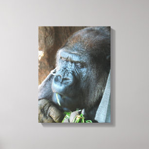 Ape hood ~ Japanse Gorilla Eating Canvas Afdruk