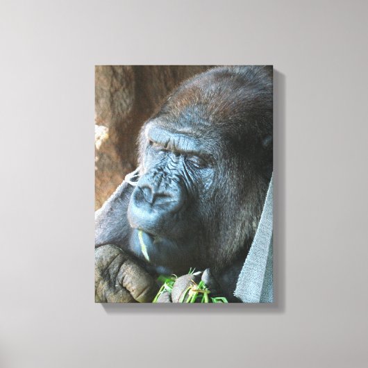Ape hood ~ Japanse Gorilla Eating Canvas Afdruk (Voorkant)