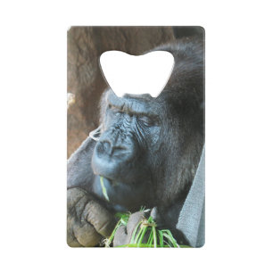 Ape hood ~ Japanse Gorilla Eating Creditkaart Flessenopener