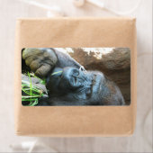 Ape hood ~ Japanse Gorilla Eating Etiket (Insitu)