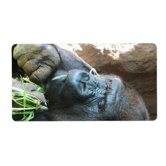 Ape hood ~ Japanse Gorilla Eating Etiket (Voorkant)