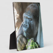Ape hood ~ Japanse Gorilla Eating Fotoplaat (Zijkant)