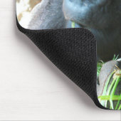 Ape hood ~ Japanse Gorilla Eating Muismat (Hoek)