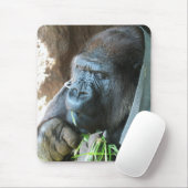 Ape hood ~ Japanse Gorilla Eating Muismat (Met muis)