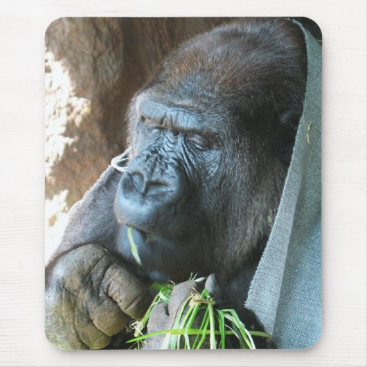 Ape hood ~ Japanse Gorilla Eating Muismat (Voorkant)