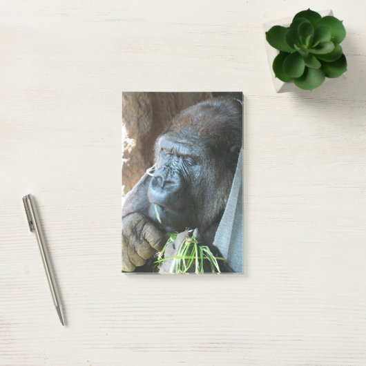 Ape hood ~ Japanse Gorilla Eating Post-it® Notes (Kantoor)