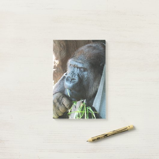 Ape hood ~ Japanse Gorilla Eating Post-it® Notes (Op bureau)