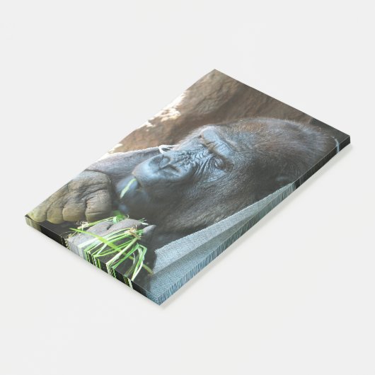 Ape hood ~ Japanse Gorilla Eating Post-it® Notes (Schuin)