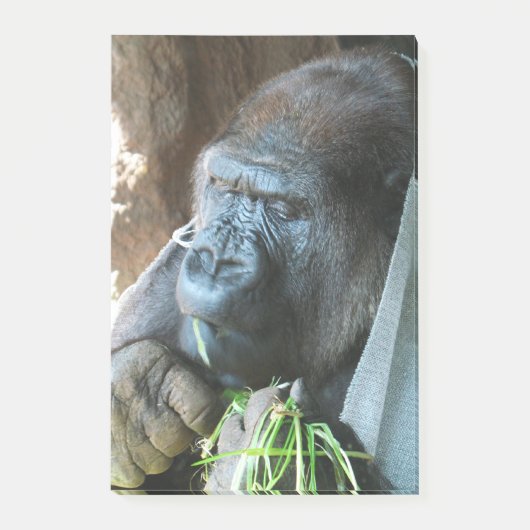 Ape hood ~ Japanse Gorilla Eating Post-it® Notes (Voorkant)
