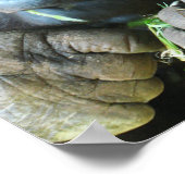 Ape hood ~ Japanse Gorilla Eating Poster (Hoek)