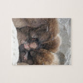 Ape Legpuzzel (Horizontaal)