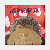 Ape over je magneet (Voorkant)