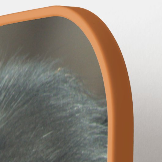 Ape Pickleball Paddle (Links Detail)