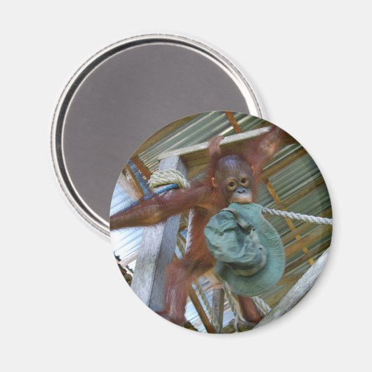 Ape voor groen magneet (Voorkant / Achterkant)