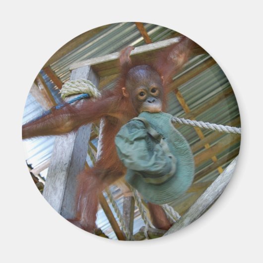 Ape voor groen magneet (Voorkant)