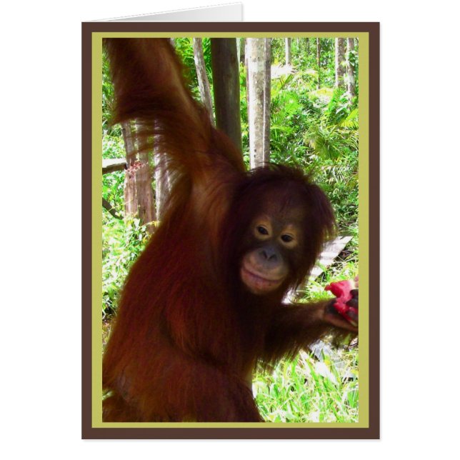 Ape voor Watermeloenen (Voorkant)